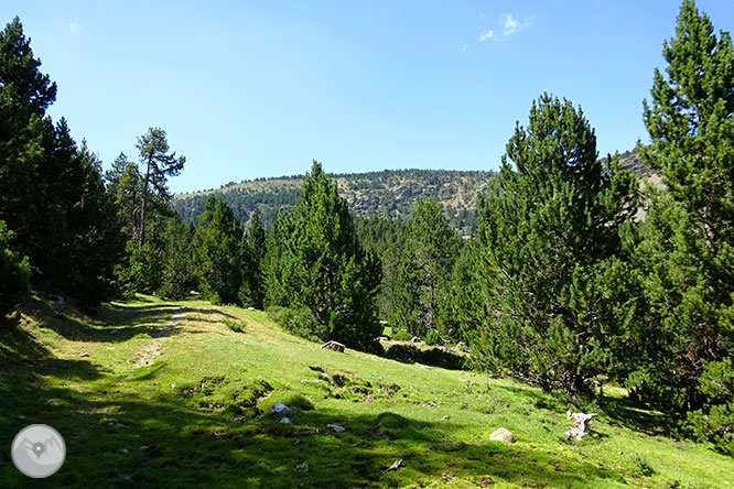 El pequeño lago de Davall en Comes de Rubió 1 