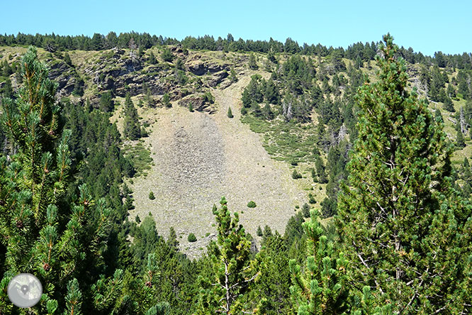 El pequeño lago de Davall en Comes de Rubió 1 