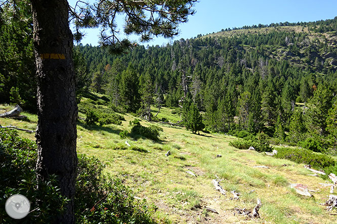 El pequeño lago de Davall en Comes de Rubió 1 