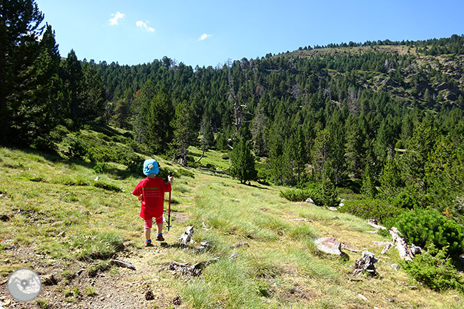 El pequeño lago de Davall en Comes de Rubió 1 