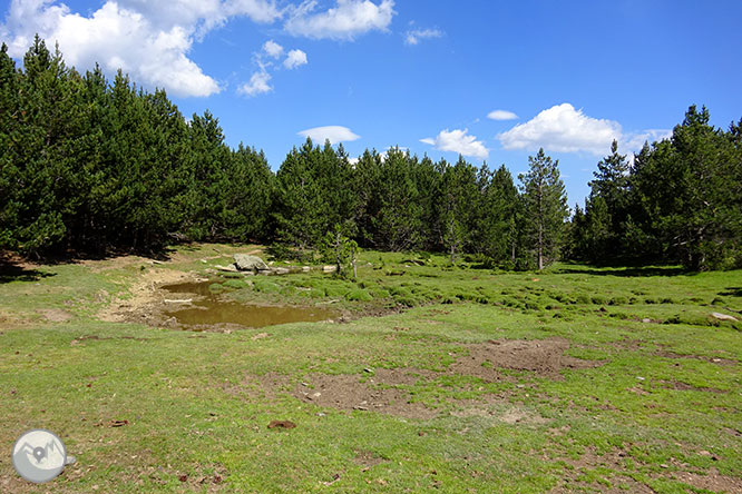 El pequeño lago de Davall en Comes de Rubió 1 