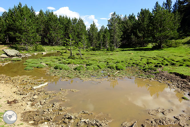 El pequeño lago de Davall en Comes de Rubió 1 