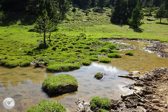 El pequeño lago de Davall en Comes de Rubió 1 