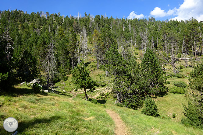 El pequeño lago de Davall en Comes de Rubió 1 