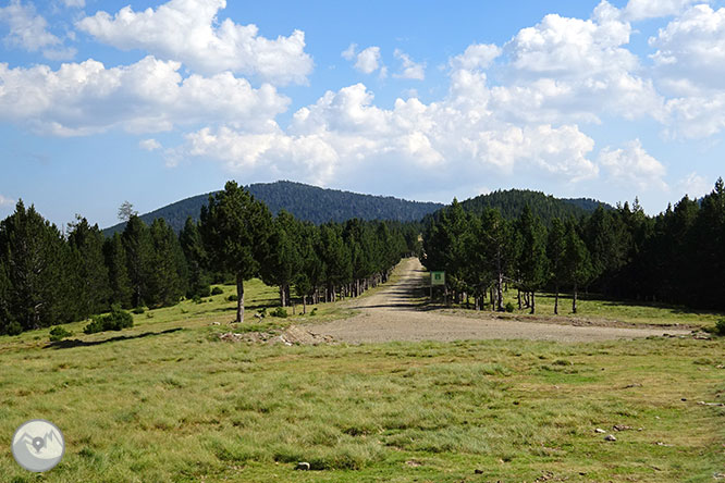 El pequeño lago de Davall en Comes de Rubió 1 