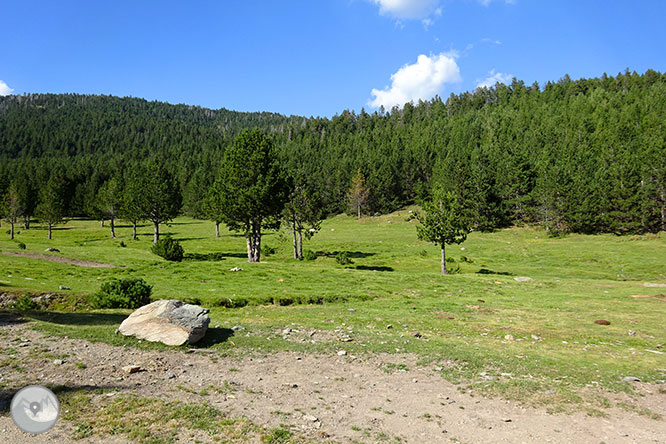 El pequeño lago de Davall en Comes de Rubió 1 