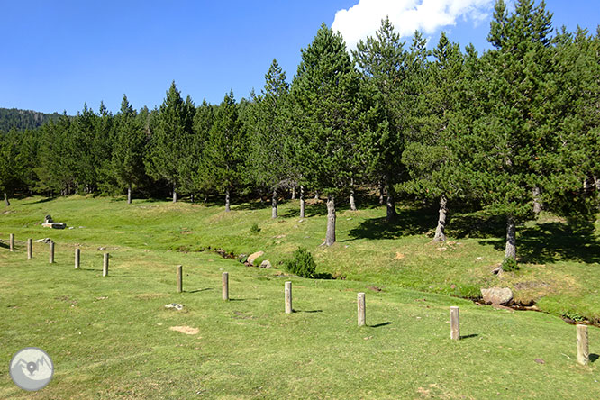 El pequeño lago de Davall en Comes de Rubió 1 