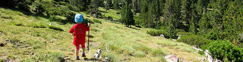 El pequeño lago de Davall en Comes de Rubió
