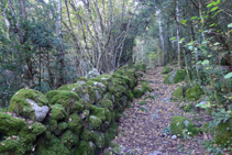 Camino definido con paredes de piedra seca.