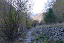 Camino empedrado del valle de Madriu.