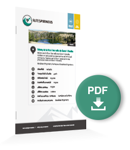 pdf-ruta