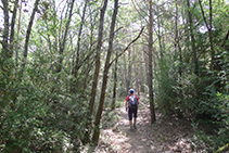 Caminamos por un camino bien marcado.