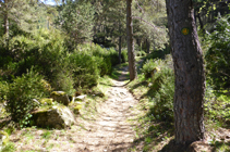 Camino de la Canal de la Tossa.