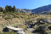 Avanzamos por un terreno muy agradable.