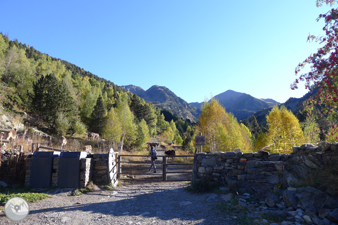 Lago y pico del Estanyó (2.915m) 1 