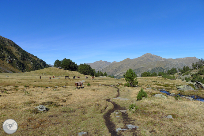 Lago y pico del Estanyó (2.915m) 1 