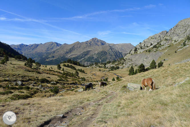 Lago y pico del Estanyó (2.915m) 1 