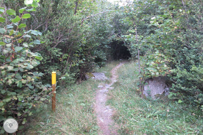 Lagos de Gémena en el valle de Llubriqueto 1 