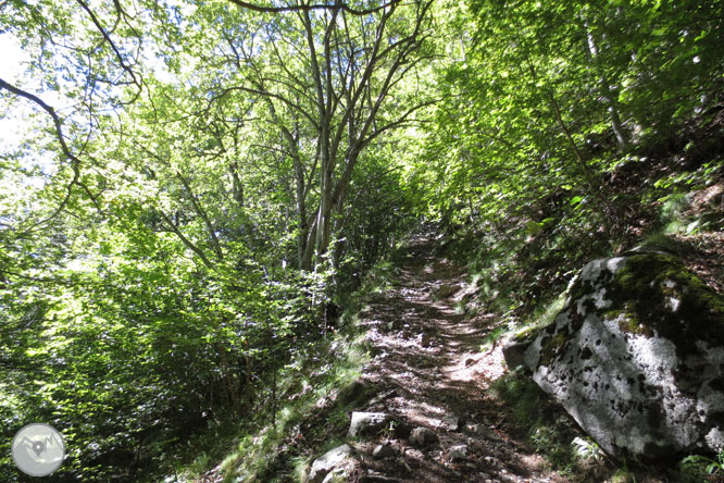 Lagos de Gémena en el valle de Llubriqueto 1 