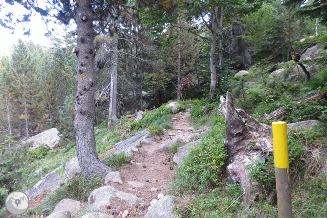 Lagos de Gémena en el valle de Llubriqueto 1 