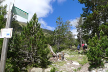 Tomamos un sendero bien señalizado que sube montaña arriba.