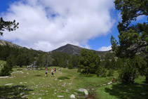 Hermoso prado de alta montaña con el pico de Perafita al fondo.