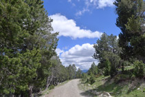 Hacemos el camino de bajada por la pista de tierra.