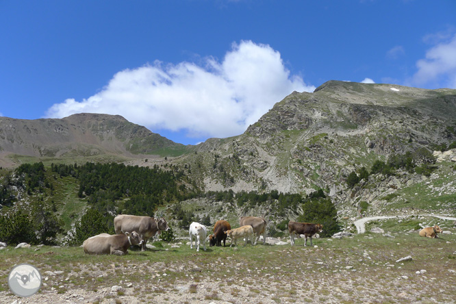 Estanys de la Pera desde Pollineres 1 