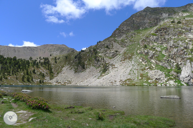 Estanys de la Pera desde Pollineres 1 