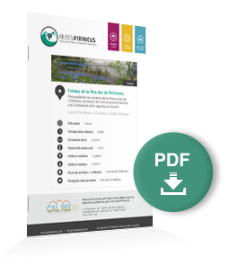pdf-ruta