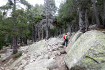 Zona con bastantes bloques de granito cercanos al sendero.