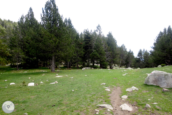 Ruta al lago de Malniu 1 