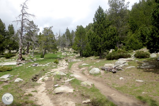 Ruta al lago de Malniu 1 