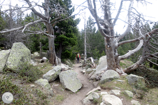 Ruta al lago de Malniu 1 