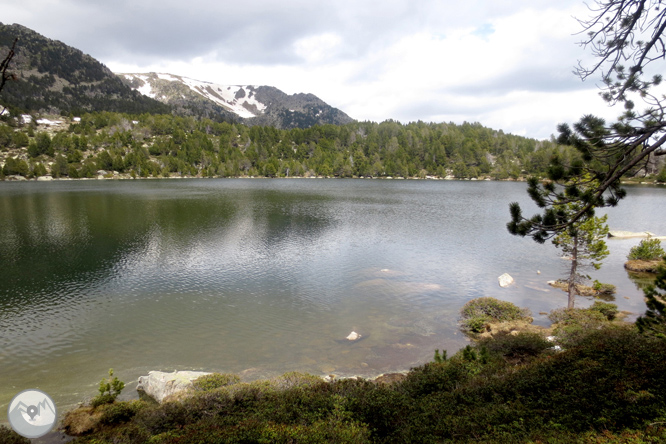 Ruta al lago de Malniu 1 