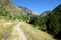 Empezamos la ruta caminando por una pista forestal muy cómoda siguiendo el GR 11-20.