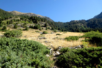 Cruzamos un prado de gramíneas.