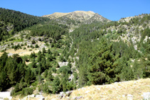 Desde la otra vertiente del valle de Sant Martí tenemos una buena panorámica del barranco del Pessó.