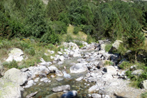 La pista avanza paralela y junto al río Sant Martí.