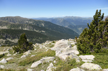 Bajada por la sierra de las Pedrusques.