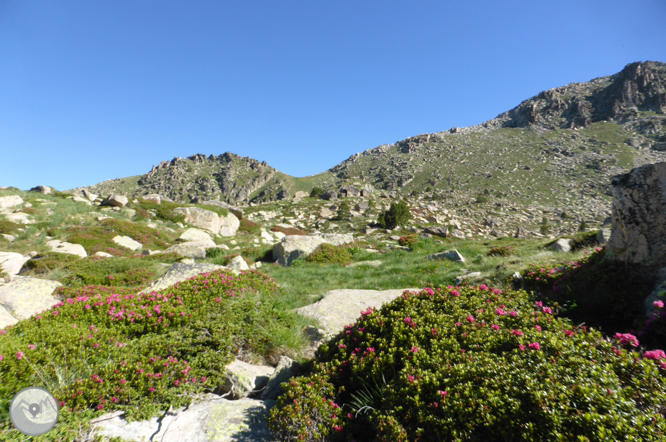 Lagos de Ensagents y Alt del Griu (2.879m) 1 