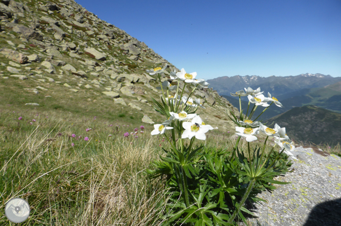 Lagos de Ensagents y Alt del Griu (2.879m) 1 