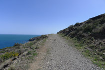 Avanzamos por un camino de piedras. 