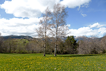 Prados cerca del oratorio de Sant Isidre.