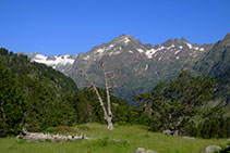 Los picos y las crestas afiladas son los grandes dominadores de las alturas del valle de Benasque.