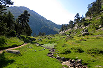 El sendero avanza entre prados y arroyos.