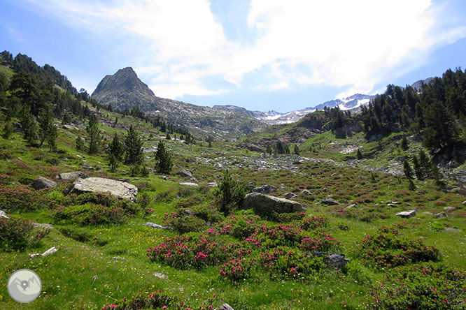 Forau y cascada de Aigualluts 1 