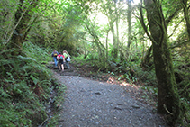 Caminamos en subida por el interior del bosque.