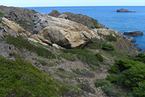 Esquistos (de color gris) y pegmatitas (blancas y anaranjadas) en el Parque Natural del Cabo de Creus.