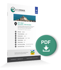 pdf-ruta